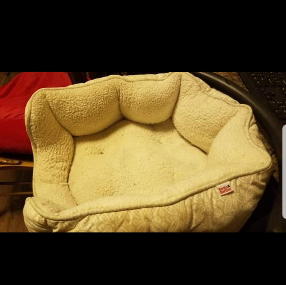 Boots and Barkley Dog Bed
